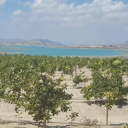 公寓 Very With Views Dehesa de Campoamor (Orihuela Costa)